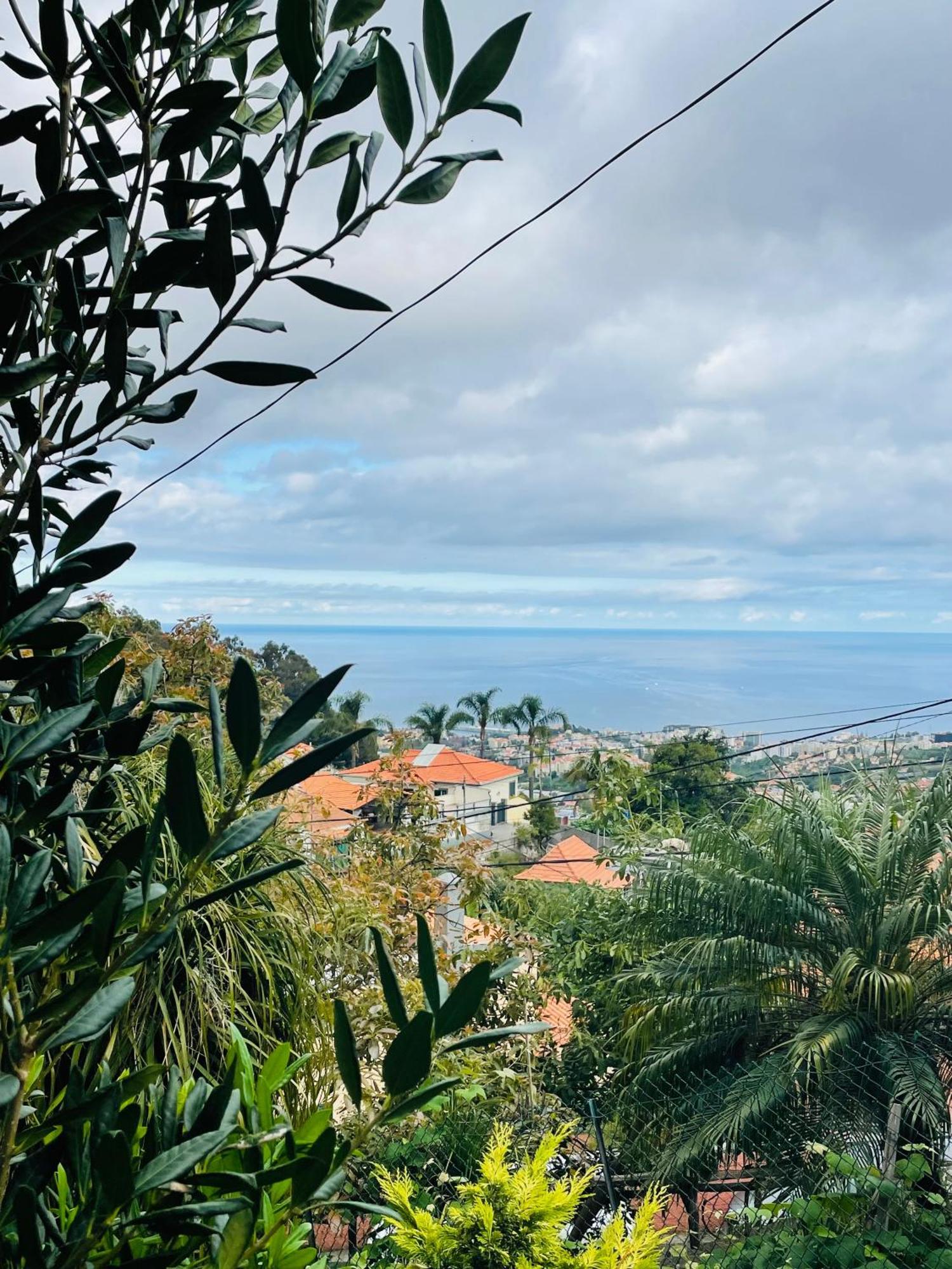 Cozy House Funchal (Madeira) Exterior foto