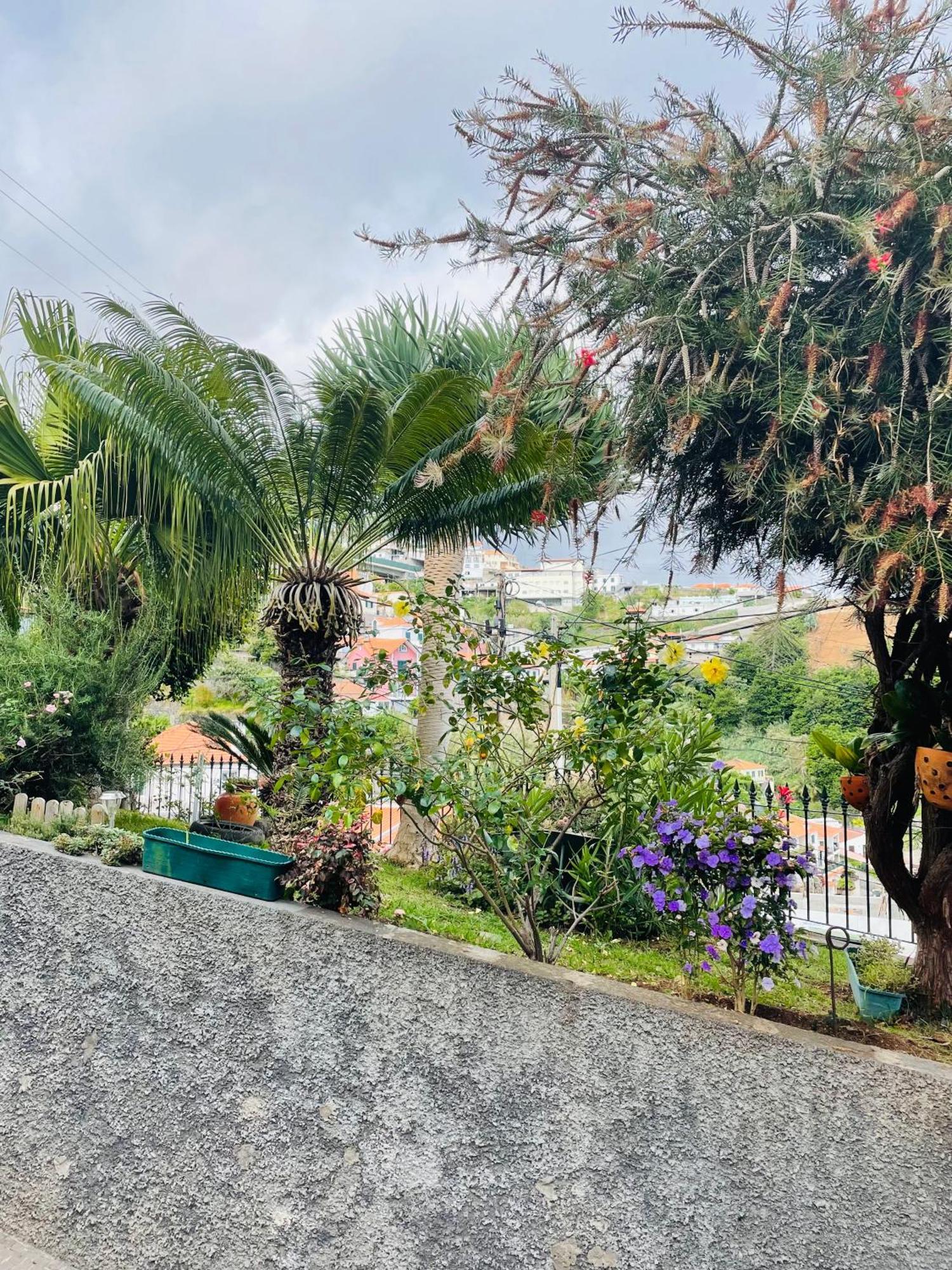 Cozy House Funchal (Madeira) Exterior foto