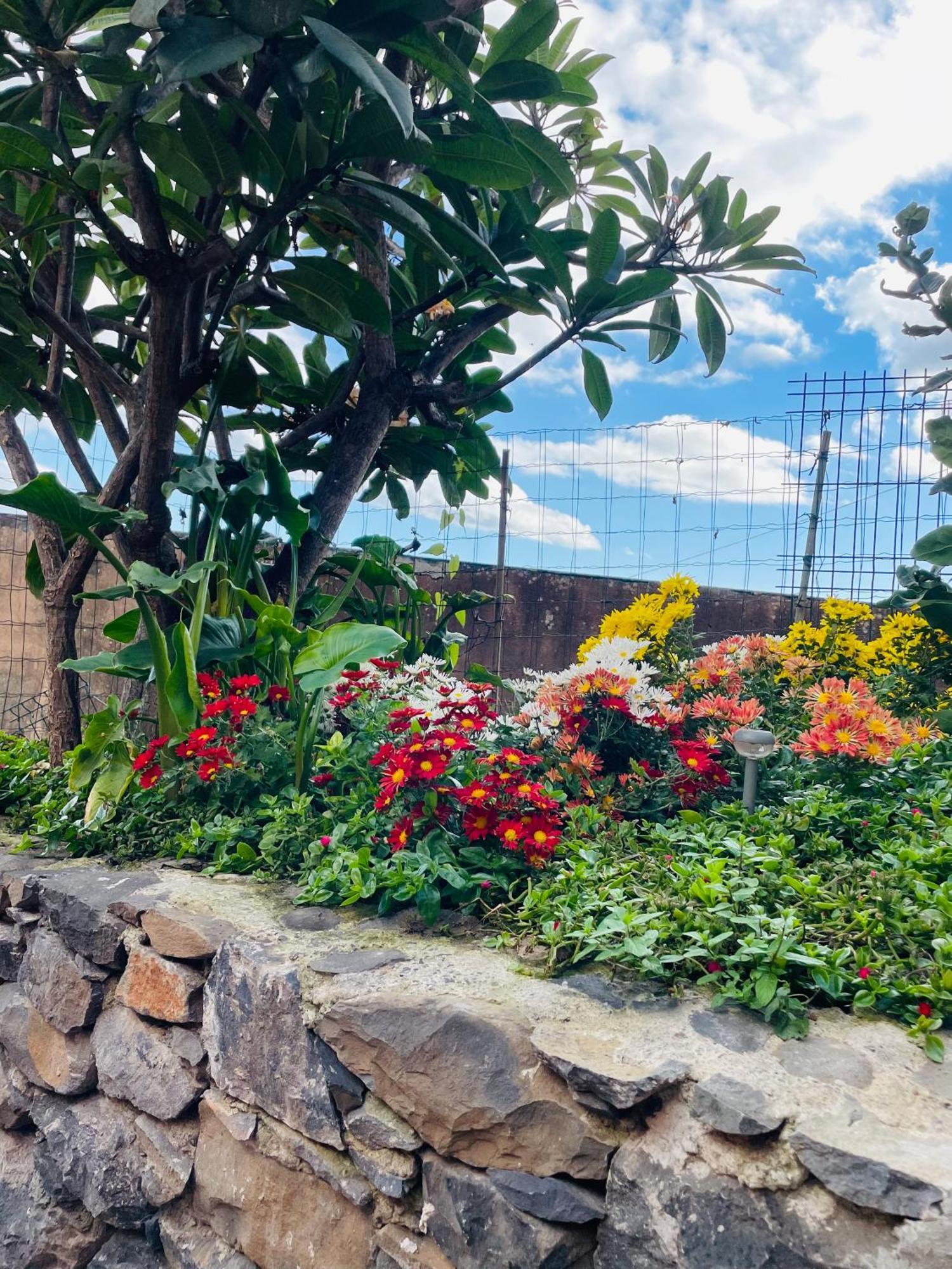 Cozy House Funchal (Madeira) Exterior foto